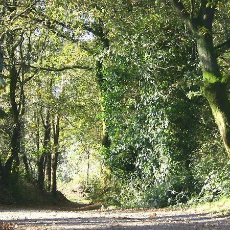 Hotel O Pino * O Pino